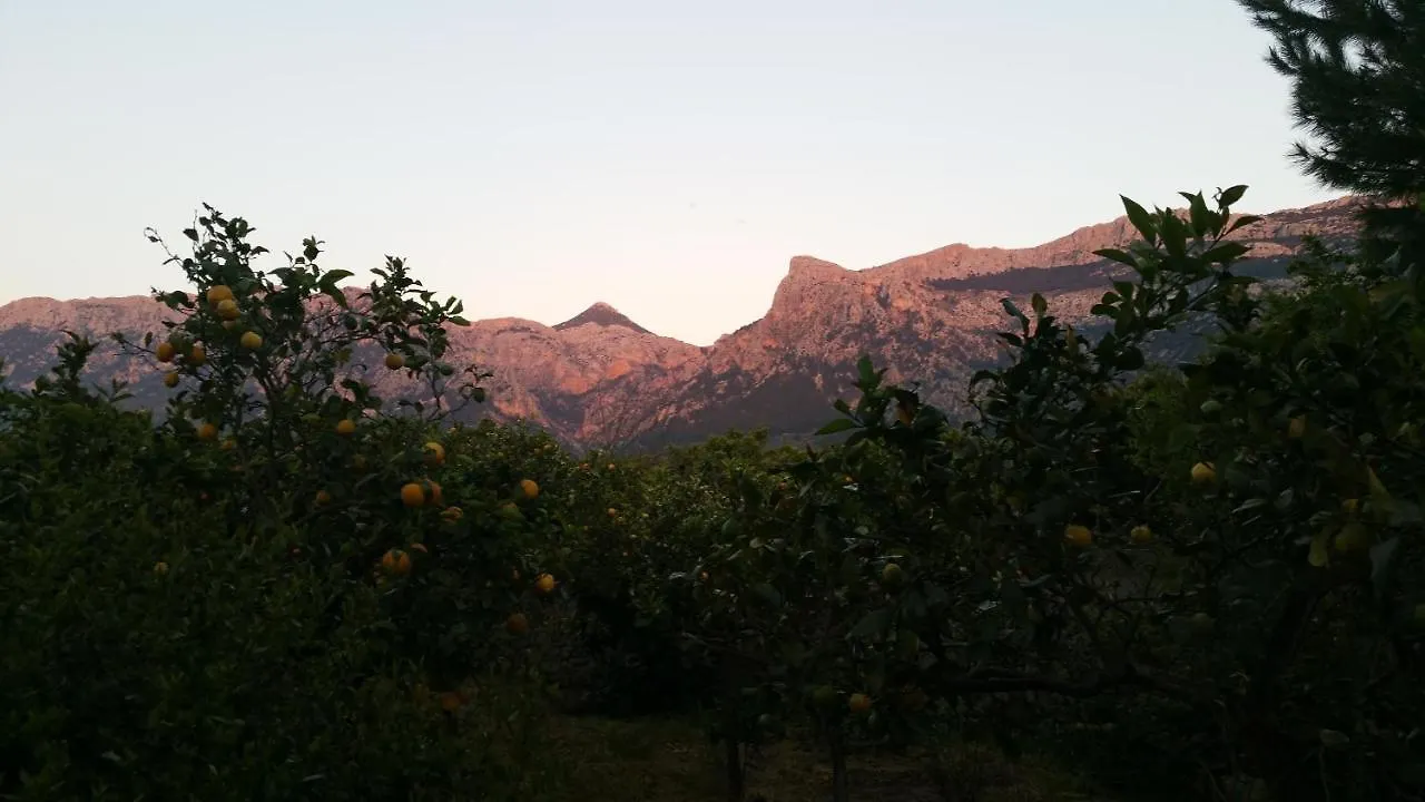 Es Campet, Charmante Finca, Soller, Vue Splendide, Piscine, Calme 0*,